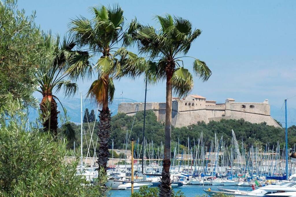 3P Central Refait A Neuf - Parking L430Cm X W275Cm Antibes Kültér fotó